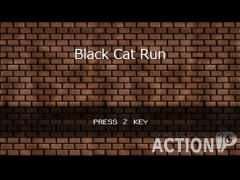 ・Black Cat Run・　～BCR～
