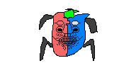 オポ