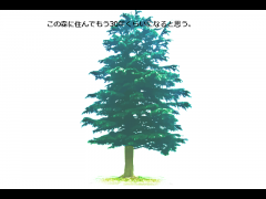 森の一生