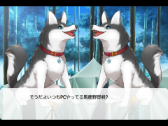 クイズゲイム