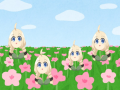 花集め