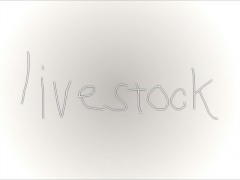 livestock