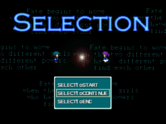 SELECTION