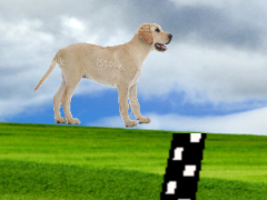 【犬QWOP】