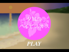 夕凪のハイビスカス