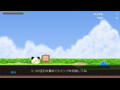 宝石好きの猫