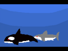 もぐらたたき　海
