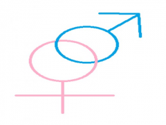♀１１個の質問に答えるだけ♂