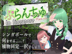 ぷらんちゅ In Singapore（ぷらんちゅ2）