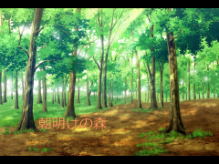 朝明けの森
