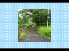 レタッチソフト「FotoSketcher」による加工例