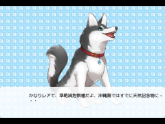 世界の生き物図鑑　ヨナグニサン