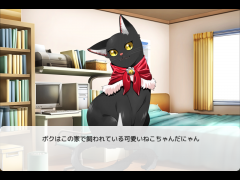 御主人様を探す黒猫