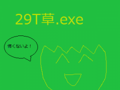 29T草.exe