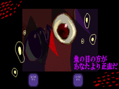 魚の目の方があなたより正直だ