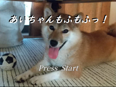 あいちゃんもふもふっ！