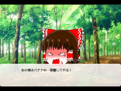 霊夢の逆襲