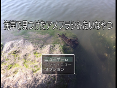 海岸で見つけたアメフラシみたいなやつ