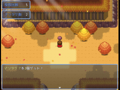 マツタケ？狩り