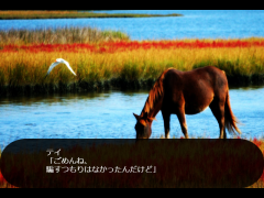 テイの旅路（後編）