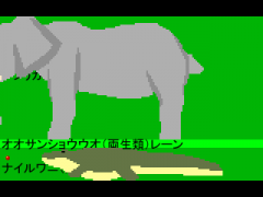 動物弾幕　陸編