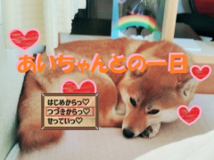 あいちゃんとの一日
