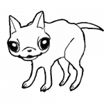 Chihuahua-Senpai
