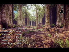 Forest Map DEMO (HQ)
