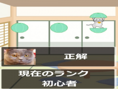 シャッフル猫