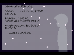 桜の散る夜、白い道