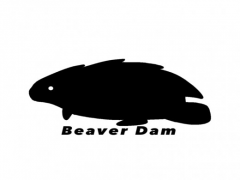 BeaverDamゲーム