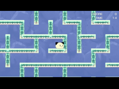 水の迷路